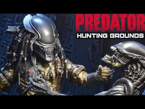 Predator Hunting Grounds EP 294: Serpent Hunter Friend Or Foe?