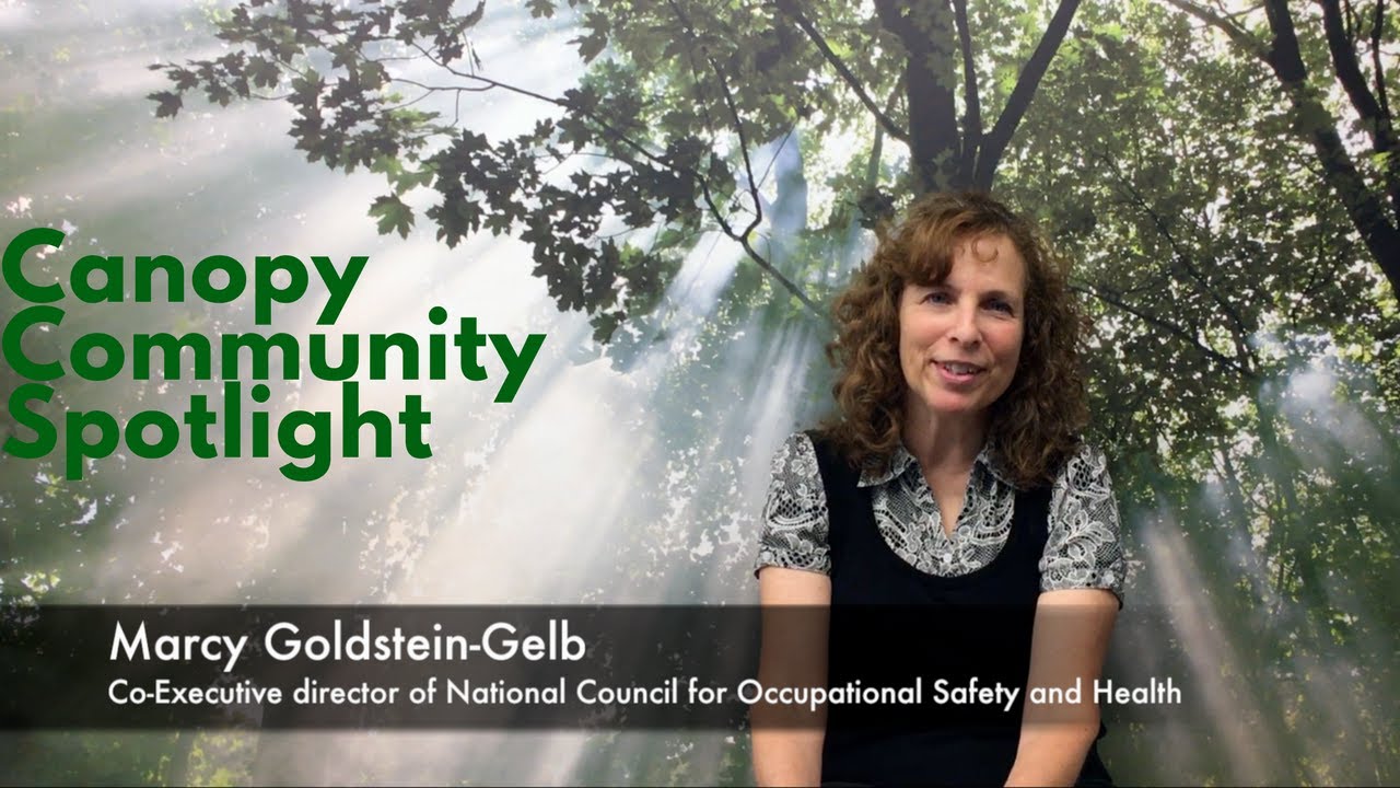 Marcy Goldstein-Gelb | National Council for Occupational Safety and Health