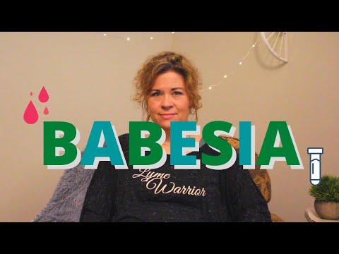 Babesia: A co-infection of Lyme Disease