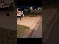 Chasing a Great Blue Heron Off the Street!