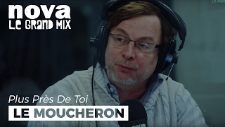 Le moucheron, l'animal de la semaine de François Rollin | Plus Près De Toi