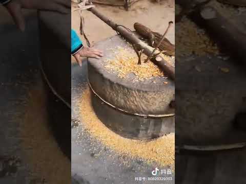 대형 멧돌 돌리는 여인