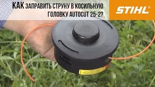 Ссылка