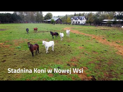 Mazowiecka wieś zaprasza - Stadnina koni w Nowej Wsi