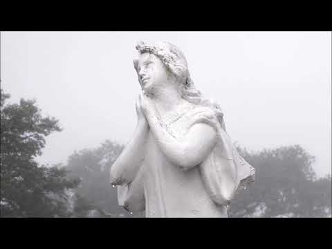 Arkane Skye and Veela - Company