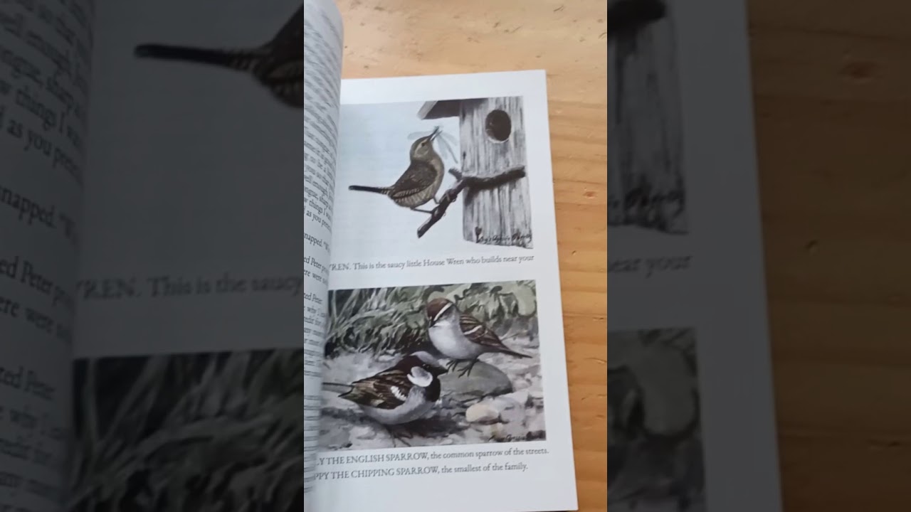 FLIP THROUGH: The Burgess Bird Book