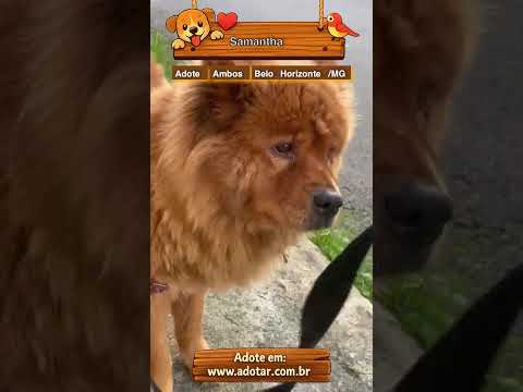 Vídeo de Samantha 