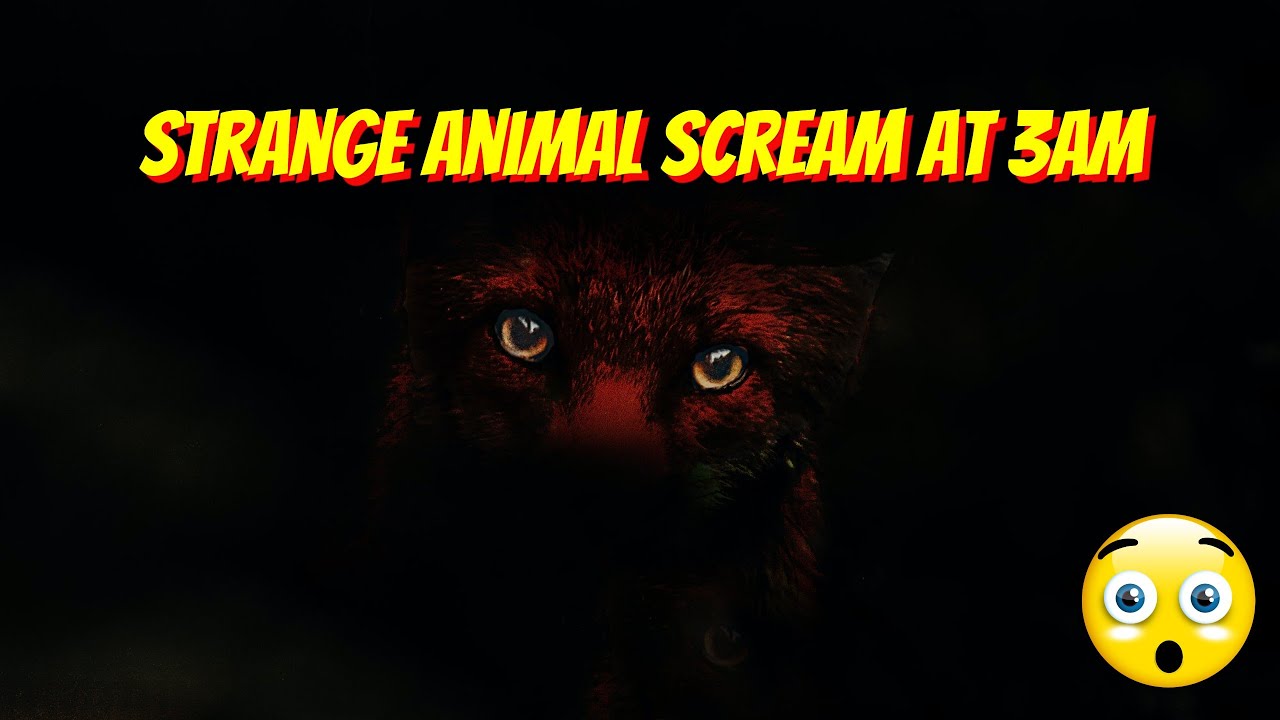 Skunk Ape [Real Life Monster Sighting] • The Truth Behind