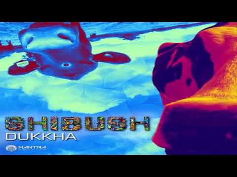 shibush - dukkha (polar energy remix)