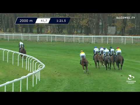 12.11.2022 - (Dzień 45; Gonitwa 8)