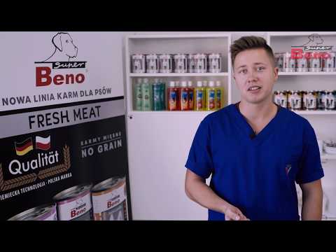 Jak karmić psa? Beno u weterynarza