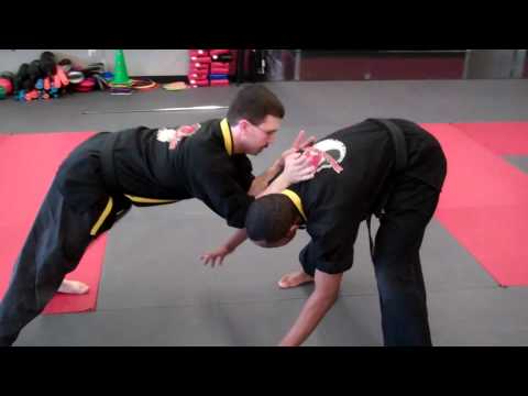 COBRA FIGHT SET - Team Dragon Star