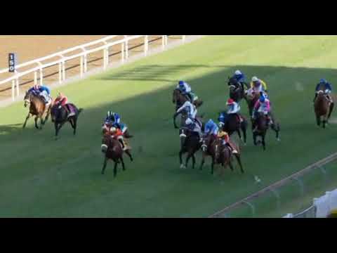 BLACK KNAP - 2021 LONSDALE STIRRUP CUP (Grade 3)