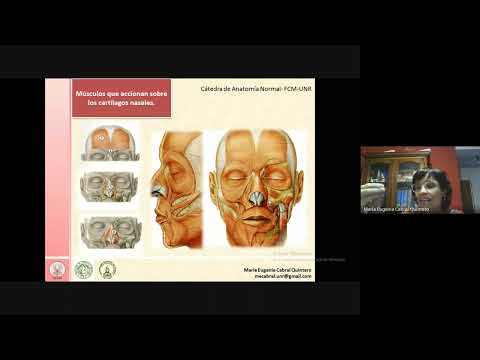 Clase de Repaso TYTL - Anatomía Vías Aéreas - Prof Eugenia Cabral