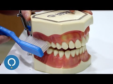Cómo cepillarse los dientes correctamente