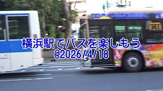 横浜駅でバスを楽しもう@2026/4/18　#横浜駅 #横浜市営バス #京浜急行バス #神奈川中央交通 #相鉄バス