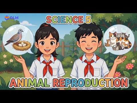 Animal reproduction