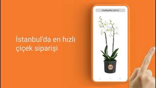 İstanbul’da 90 Dakikada Çiçek Teslimatı 🌸 | Aynı Gün Hızlı Çiçek Sipar