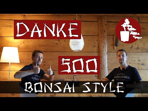 Alles eine Frage der Perspektive | 500 Abo Spezial | #027 Bonsai Style