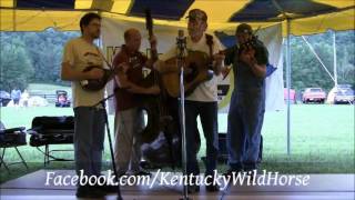 Kentucky Wild Horse - Bury Me in Overalls
