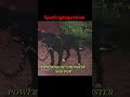Dog Of Note Powerhouse Kennels Monster Man P O R Sportingdogs Dogtalk Gamebred Apbthistory