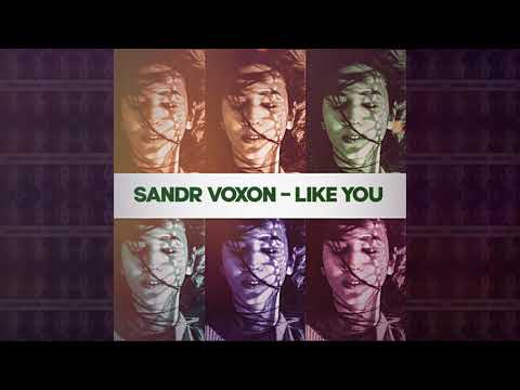 Sandr Voxon - Like You