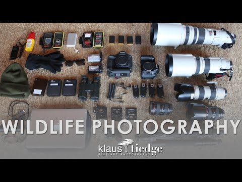 What Gear do you use? | Wildlife Photography with Klaus Tiedge