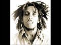 Bob Marley & The Wailers | Hammer