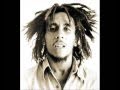 Bob Marley & The Wailers | Hammer 