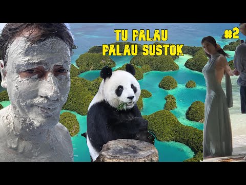 TU PALAU PALAU SUSTOK #2: NUOSTABŪS VAIZDAI, PANDA IR SIAUBINGAS LOUNGE