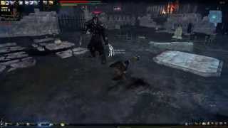 저렙 햄오나 더엠페러 솔플(의식의땅,마하)