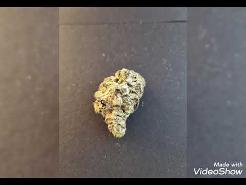 Medizinisches Cannabis #Red no.2  #Bedrocan #jack herer #pedanios #tilray #queese quake