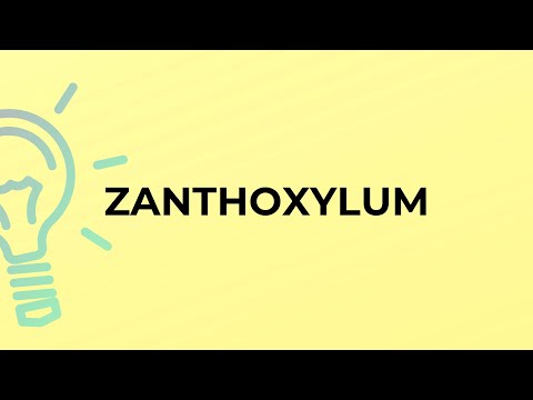 What is the meaning of the word ZANTHOXYLUM?