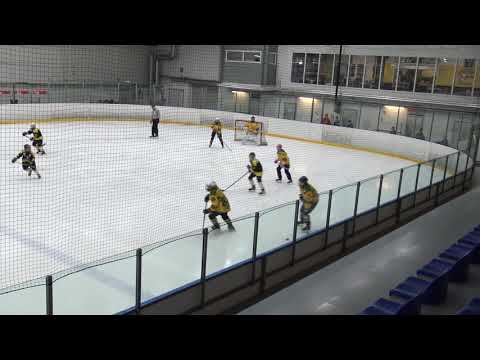 Pingviinit vs Ilves U15