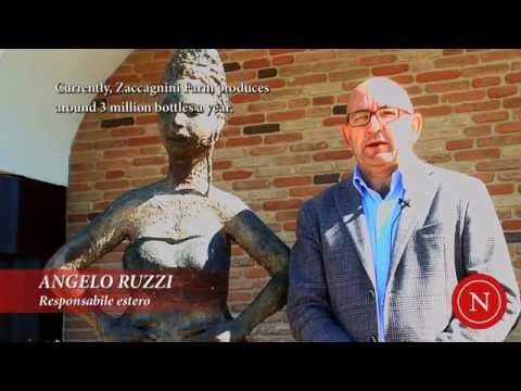 Zaccagnini on NomaCorc