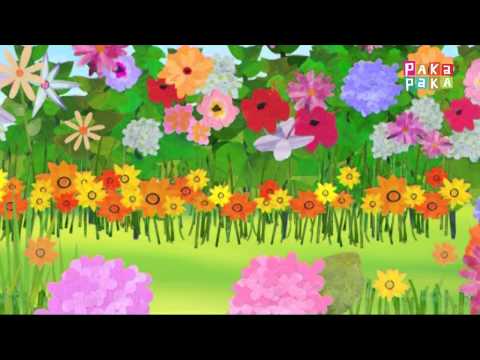 Animapaka I: Mariposa (Cap. 17) - Canal Pakapaka