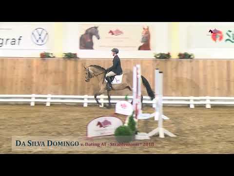 Reitponyhengst Da Silva Domingo v. Dating AT - Strahlemann
