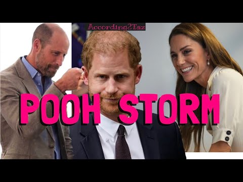 Pooh Storm Harry Under Fire