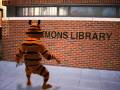 The Adventures Of Cavman Clemson