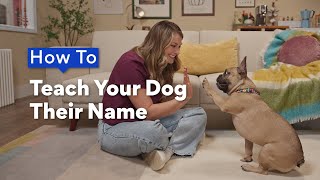 How To Teach Your Dog Their Name | Chewtorials