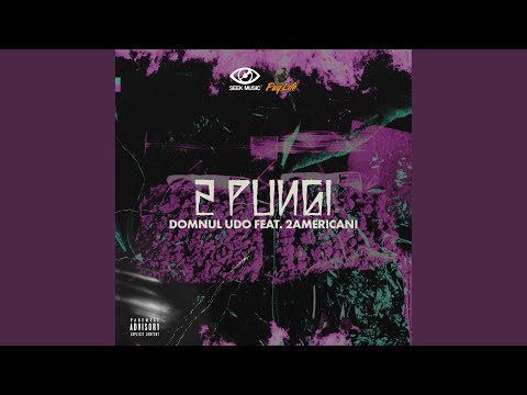 2 Pungi (feat. 2americani)