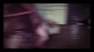 HEALTHIER FOLK- PALEHOUND