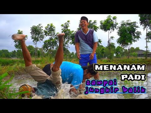 madura-lucu-menanam-padi-kocak-abis