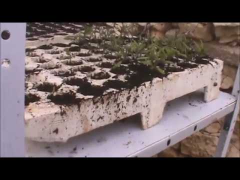 ideat kif inkabbru ż-żerriegħa (Coldframe ideas)