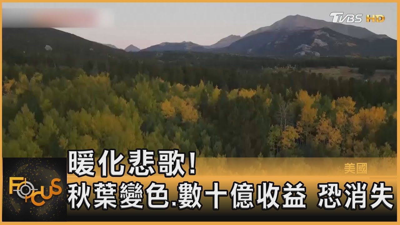 暖化悲歌!秋葉變色.數十億收益 恐消失