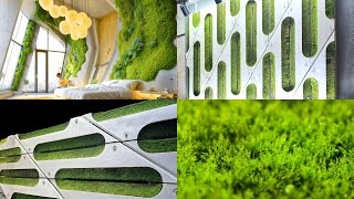 Every Building in 2050 Will Be Covered in MOSS!