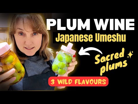 I Made Japanese Plum Wine With Secret Shrine Plums!