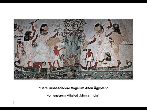 , title : 'Tiere, insbesondere Vögel im Alten Ägypten'