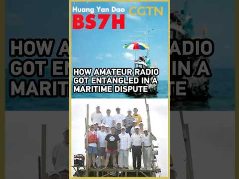 The South China Sea dispute's most surprising players