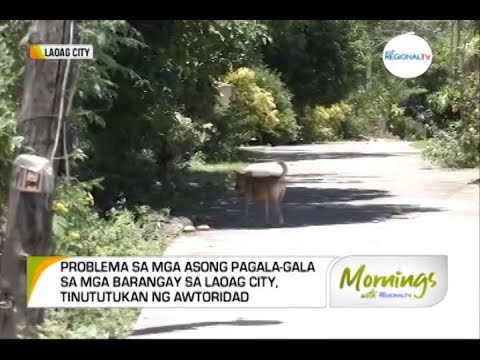 Mornings with GMA Regional TV: Ratsada Balita